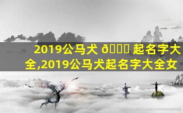 2019公马犬 🐎 起名字大全,2019公马犬起名字大全女